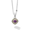 New Amethyst Pendant Necklace Gemstones
