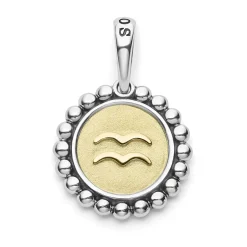 Flash Sale Aquarius Zodiac Charm Two-Tone