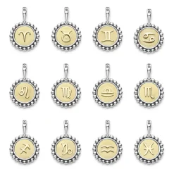 Fashion Gemini Zodiac Charm Two-Tone