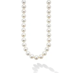 Online Large Pearl Necklace Two-Tone