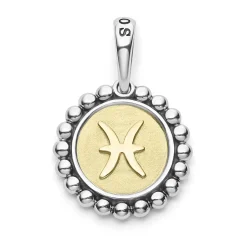 Online Pisces Zodiac Charm Two-Tone