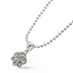 New Small Two-Tone Pendant Necklace Two-Tone