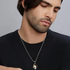 New Tiger Iron Helmet Amulet Amulets