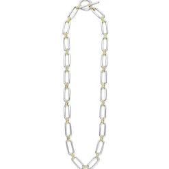 New Two-Tone Link Necklace Two-Tone