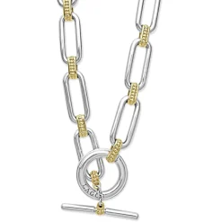 New Two-Tone Link Necklace Two-Tone