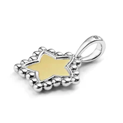 Shop Two-Tone Star Charm Two-Tone