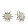 Hot Two-Tone Star Diamond Earrings Two-Tone